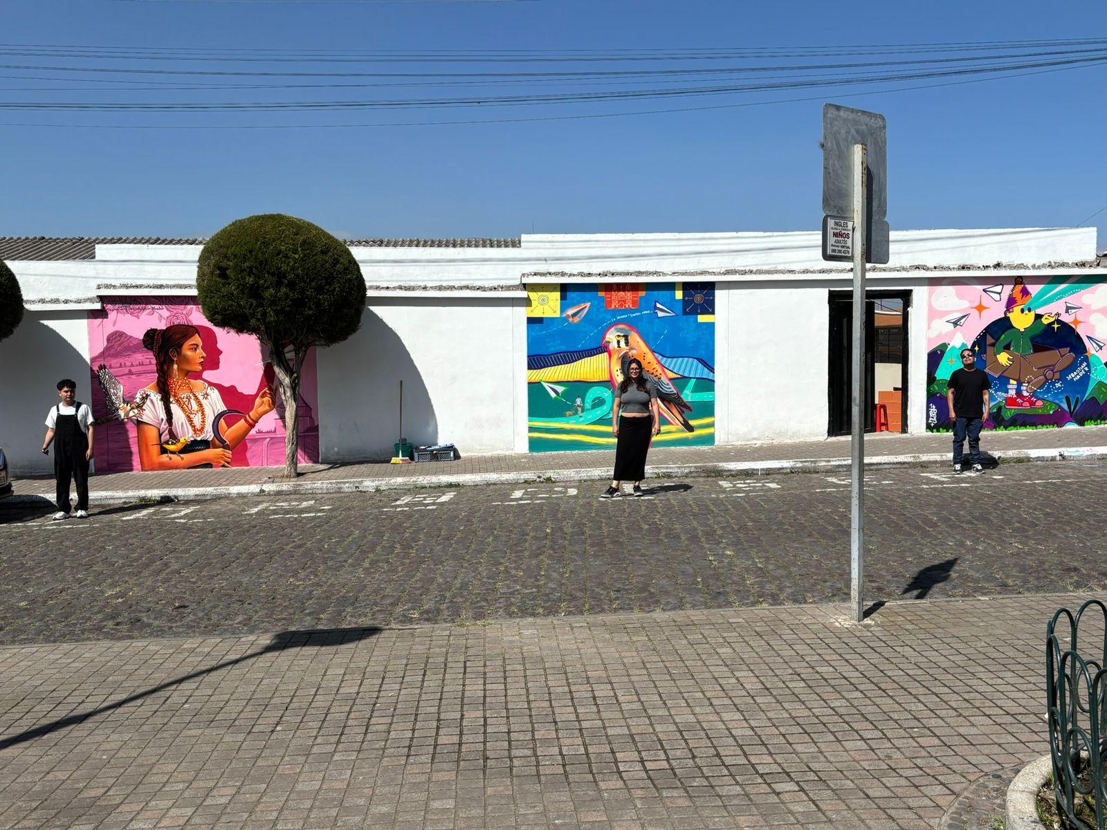 Concurso Muralistas Nuestra Identidad Despega